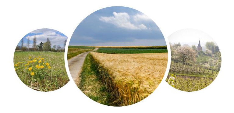 12de Demerdag | living lab Herk en Mombeek - sfeerbeelden