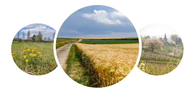 12de Demerdag | living lab Herk en Mombeek - sfeerbeelden