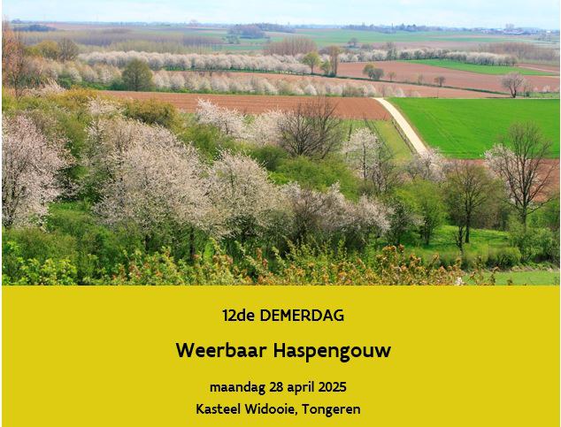 12de Demerdag (2025) | Weerbaar Haspengouw, Herk en Mombeek