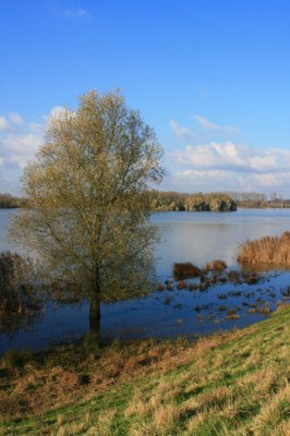 Foto nieuwsbrief Demerbekken, februari 2017 Frederik 