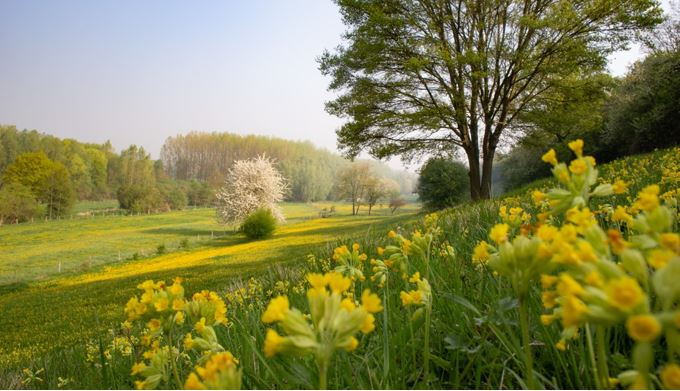 9de Demerdag, Waterproof in Haspengouw