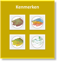 lees meer over de kenmerken van het Demerbekken Kenmerken Demerbekken