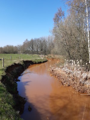 Zwarte Beek (Meldert)