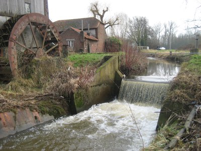 Renfortmolen (Bilzen)