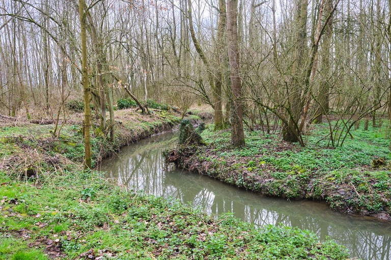 Mark - Arebeek (afwaarts)