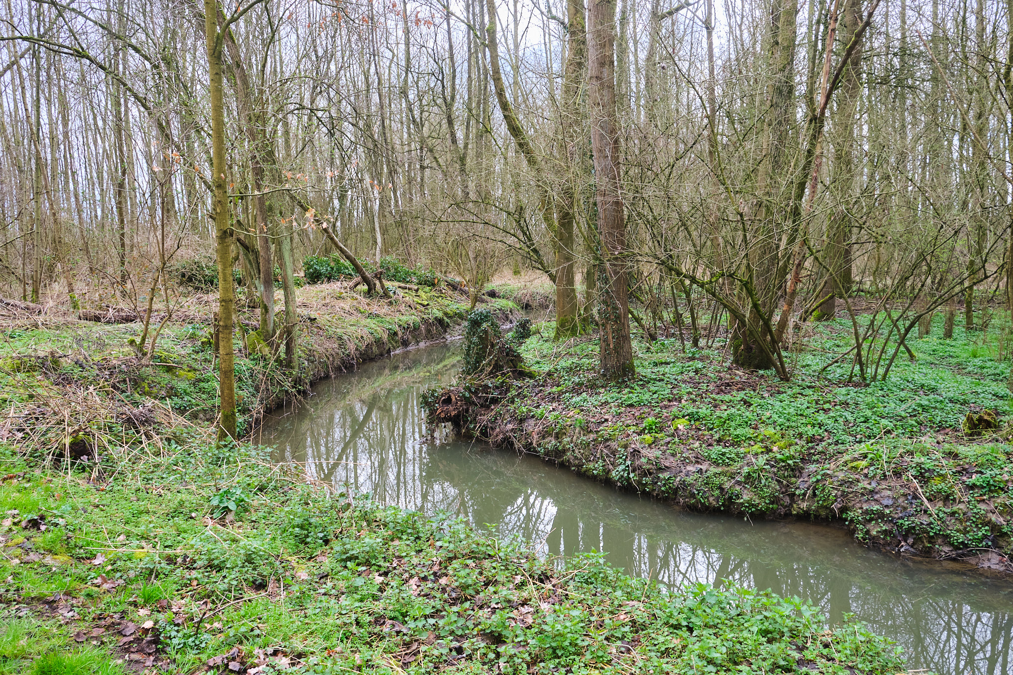 Mark - Arebeek (afwaarts)