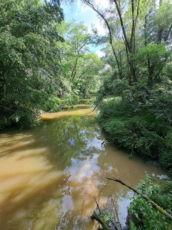 Marcq - thv brug aan vlottende klep