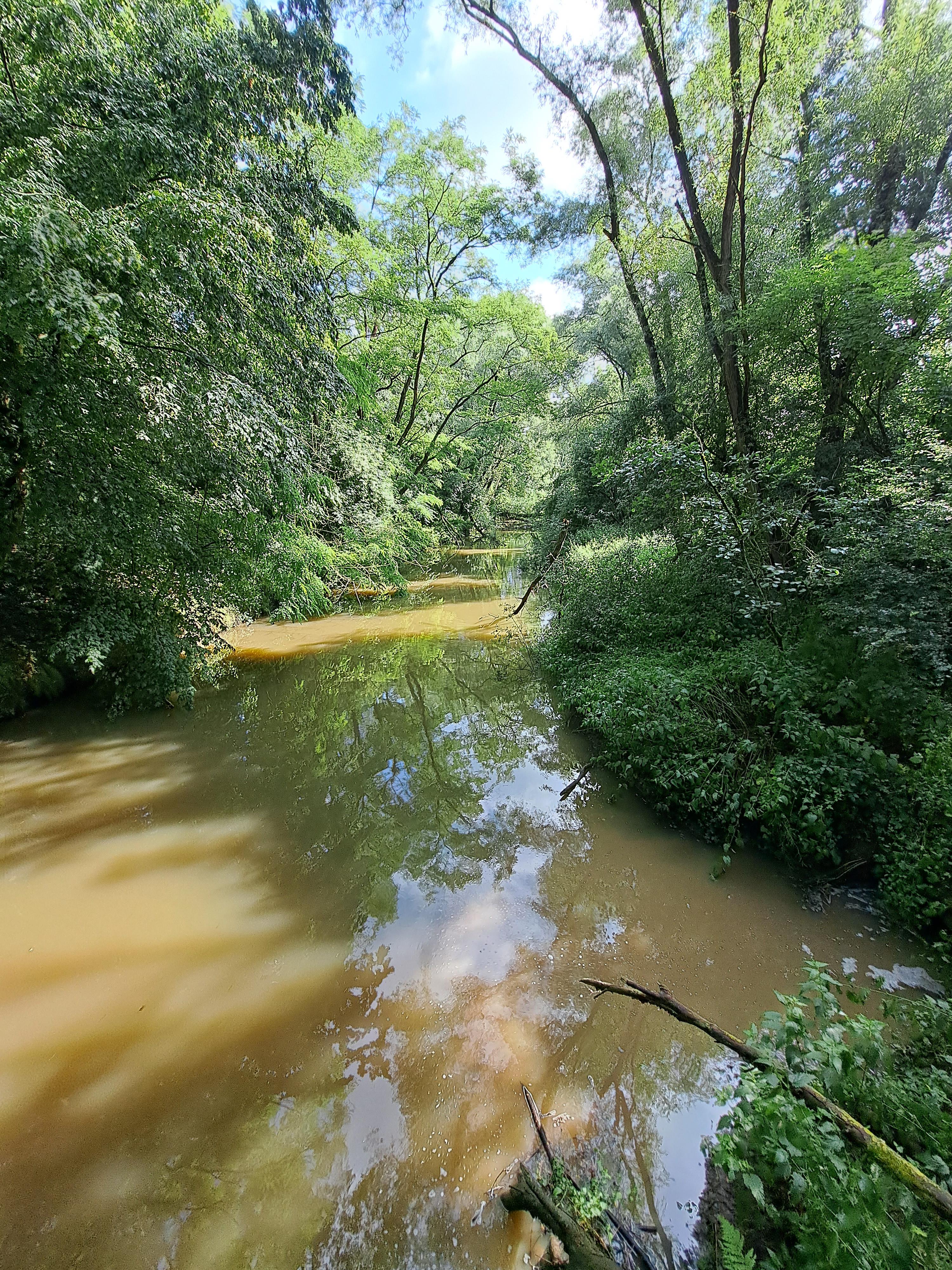 Marcq - thv brug aan vlottende klep
