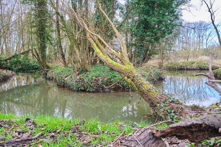 Mark - Arebeek (meander)