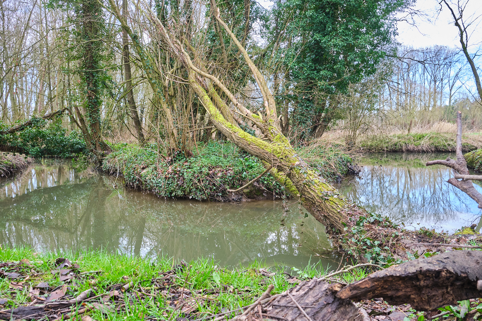 Mark - Arebeek (meander)