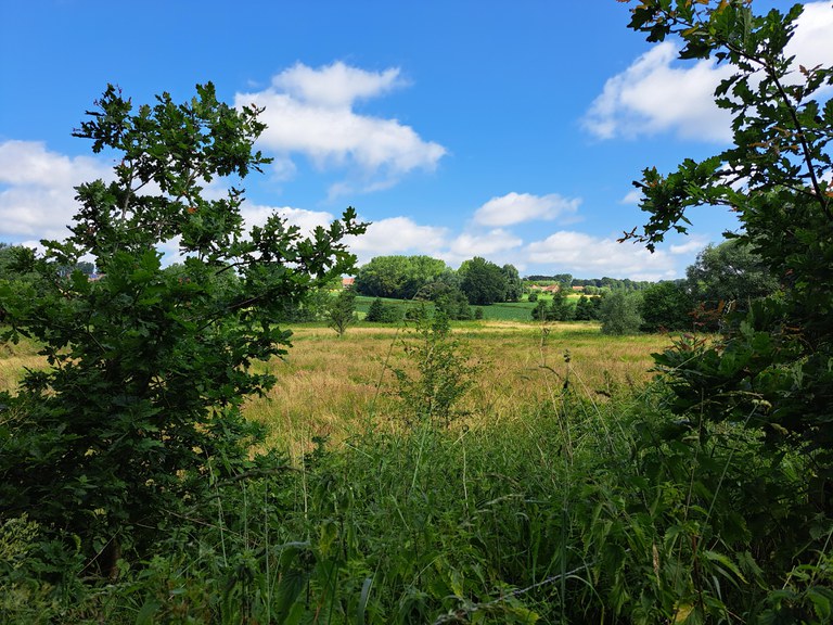 Markvallei - natuurgebied Rietbeemden met bezoekerscentrum op de berg