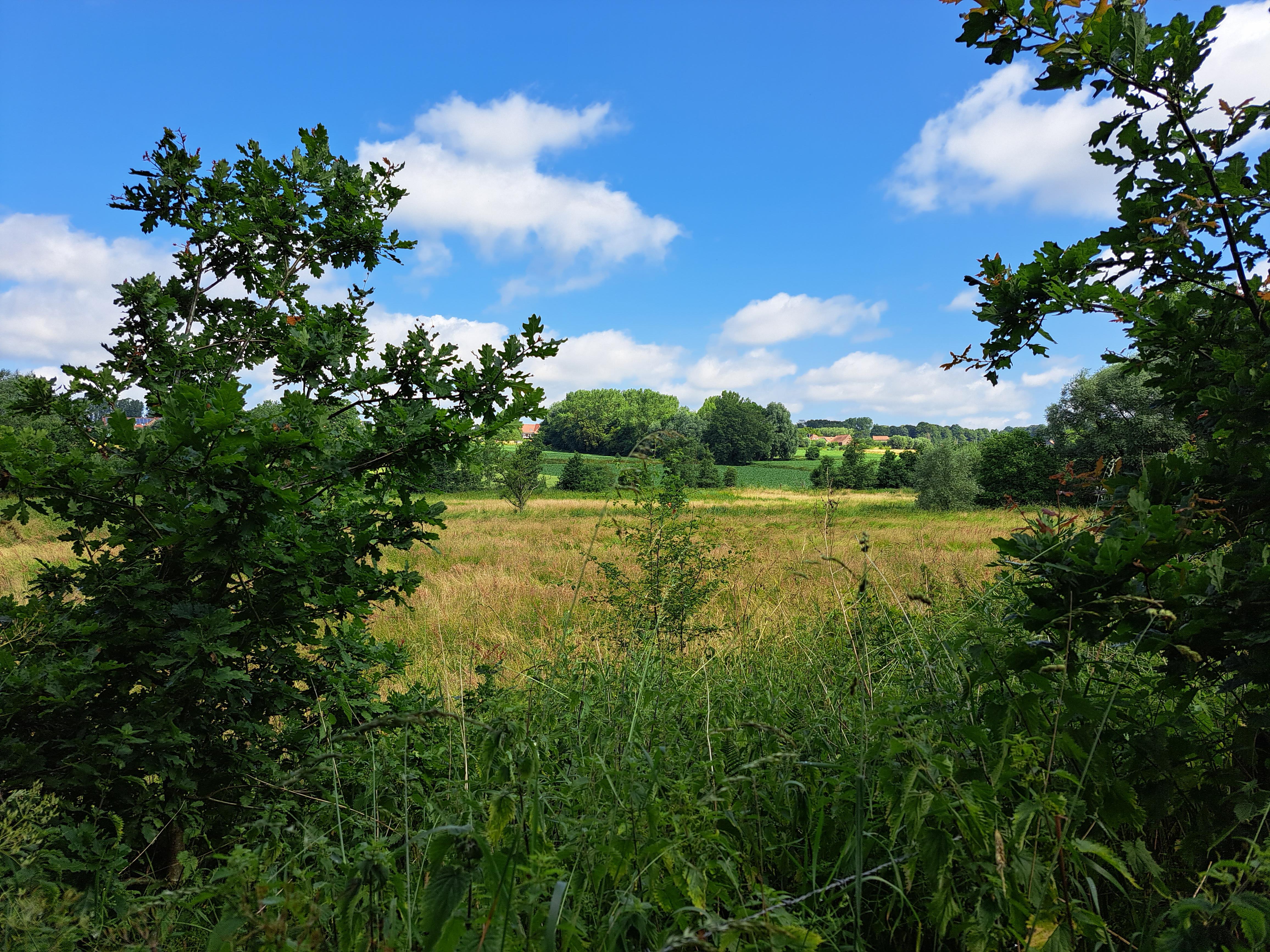 Markvallei - natuurgebied Rietbeemden met bezoekerscentrum op de berg