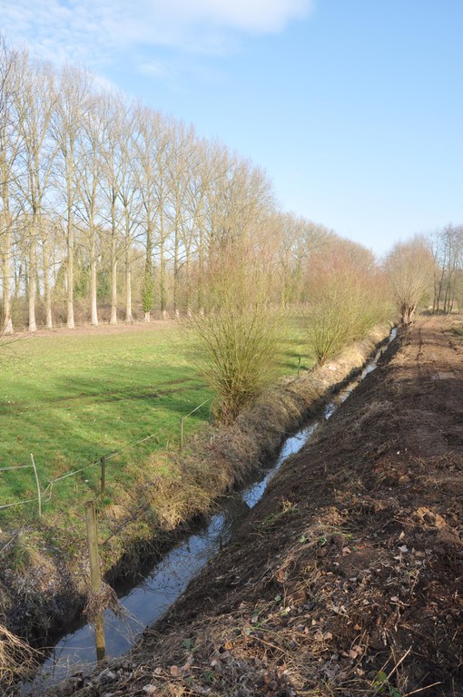 Mark - rechtgetrokken Hollebeek