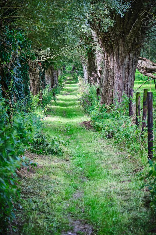 Mark - wandelnetwerk