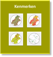 lees meer over de kenmerken van het Denderbekken Kenmerken Denderbekken