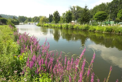 Dender Geraardsbergen