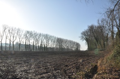 landbouw