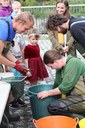 Afvissing ter hoogte van de vistrap in het Sluispark te Leuven Afvissing ter hoogte van de vistrap in het Sluispark te Leuven