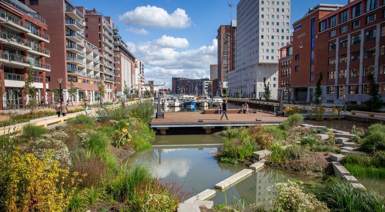 Nov. 2025 - Watertuin brengt leven aan de Vaartkom