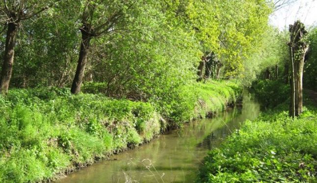 Integraal waterproject voor de Maalbeek