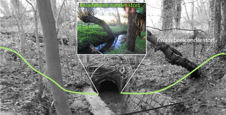 2024 - Kwadebeek (z)onder stort