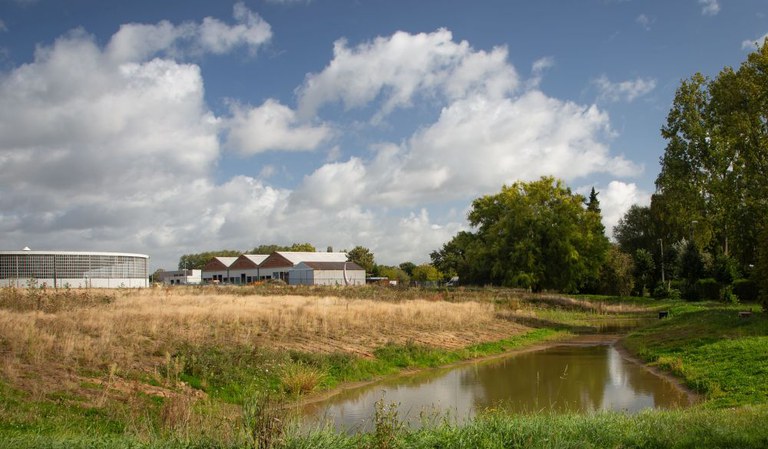 Vliegveld Oyenburgpark, swale, (c) Tom De Bie Nov. 2025 - Vliegveld Oyenbrugpark combineert water, natuur en erfgoed