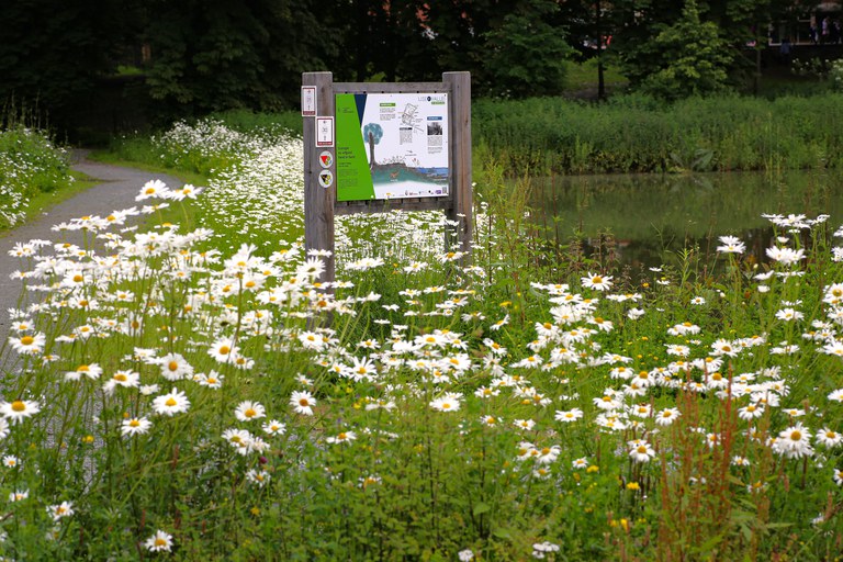 2024 - Kasteelpark d’Isque in Overijse | Heringerichte vijver