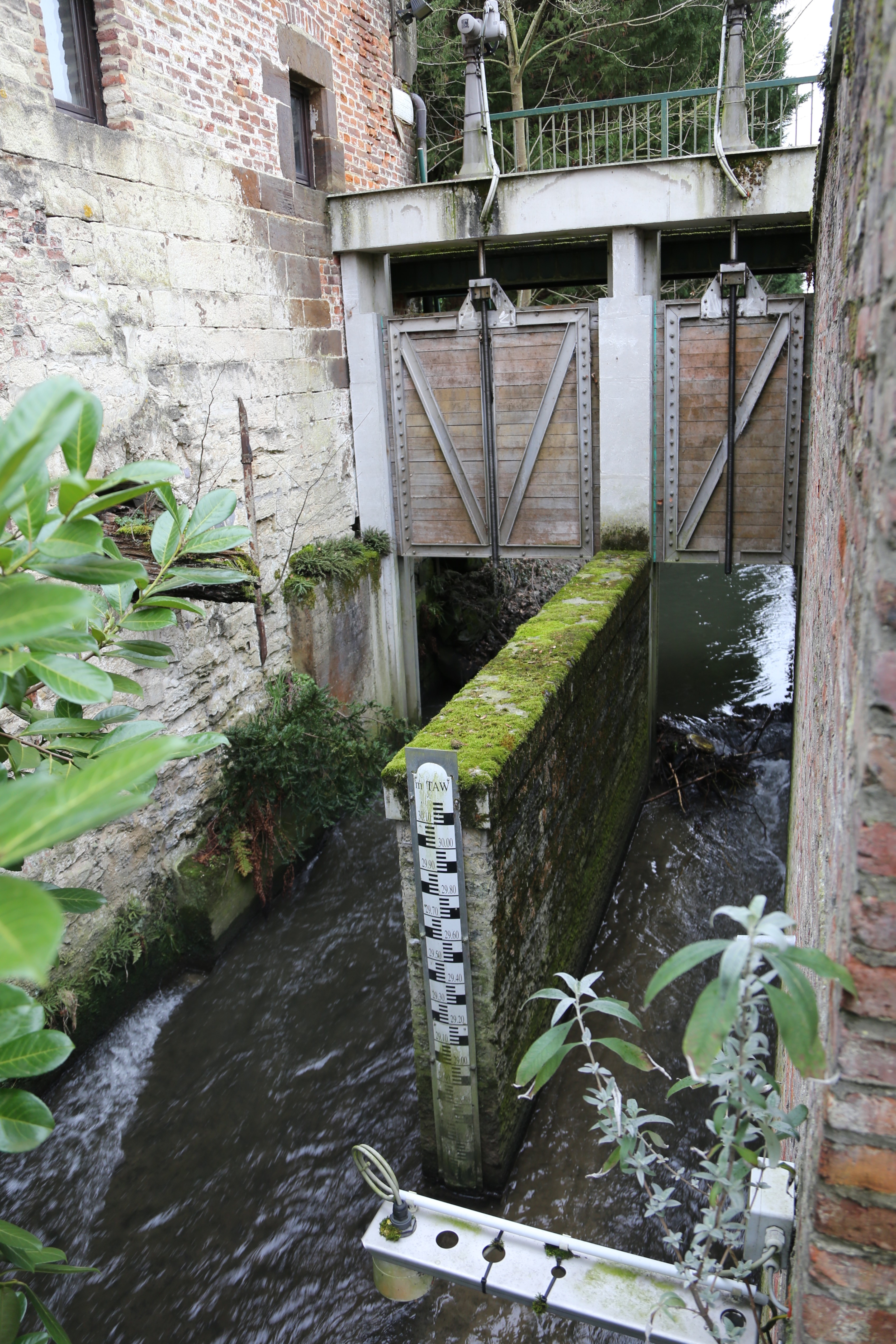 Nov. 2025 - Vismigratie IJse: Molen van Overschie of Kasteelmolen (Neerijse), knelpunt opgelost