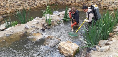 Eerste monitoring van de vistrap