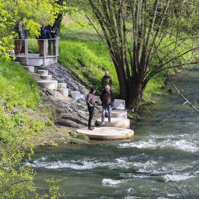 2024 - Zenneterras in Halle