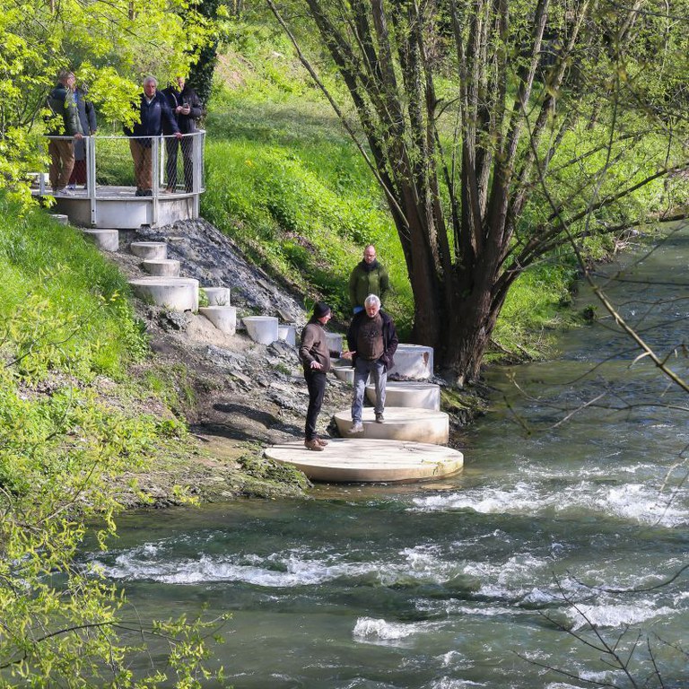 2024 - Zenneterras in Halle
