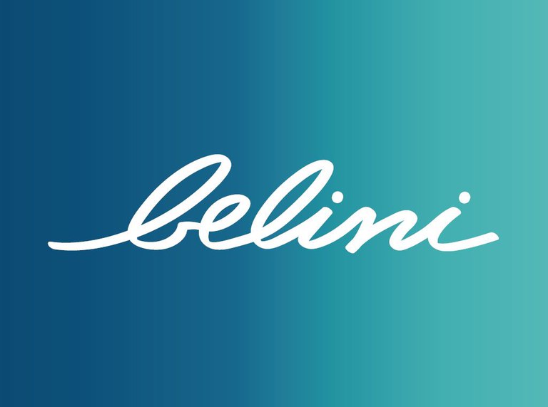Logo Belini