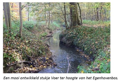 Een mooi ontwikkeld stukje Voer ter hoogte van het Egenhovenbos