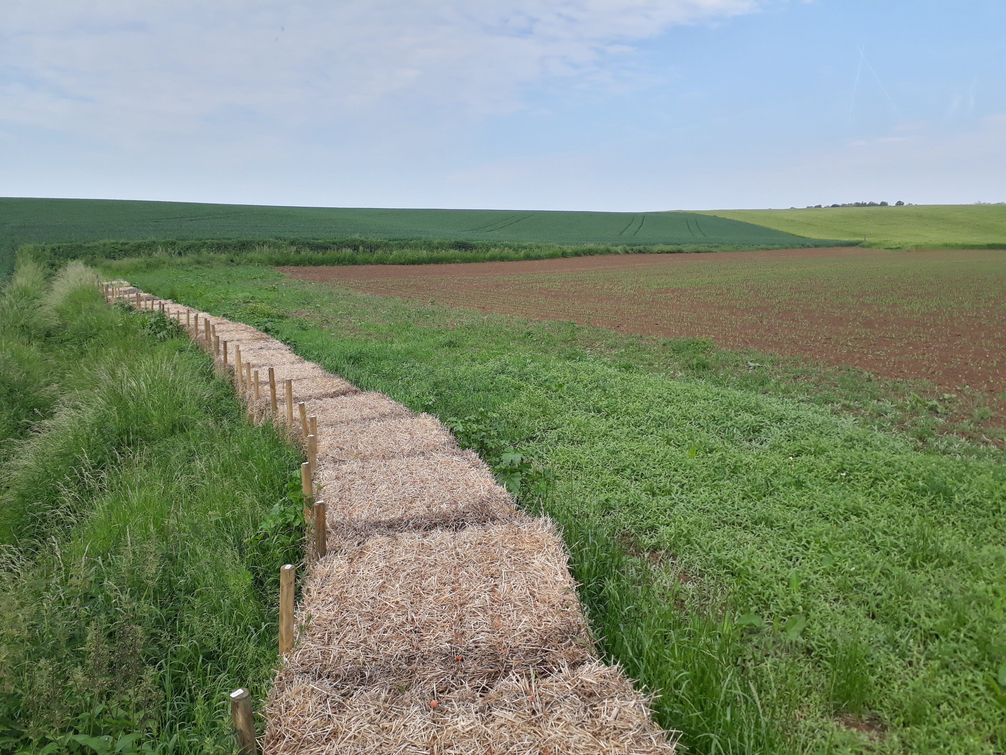 Langegracht - anti-erosiemaatregelen