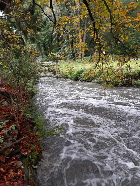 IJse thv Molen Loonbeek