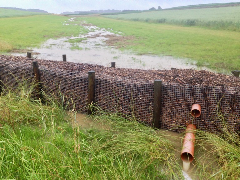 houthakseldam (Bertem)