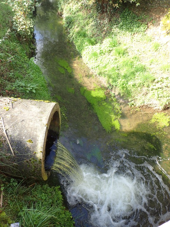 Voer - lozing effluent RWZI Tervuren