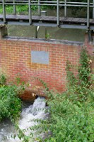 Voer