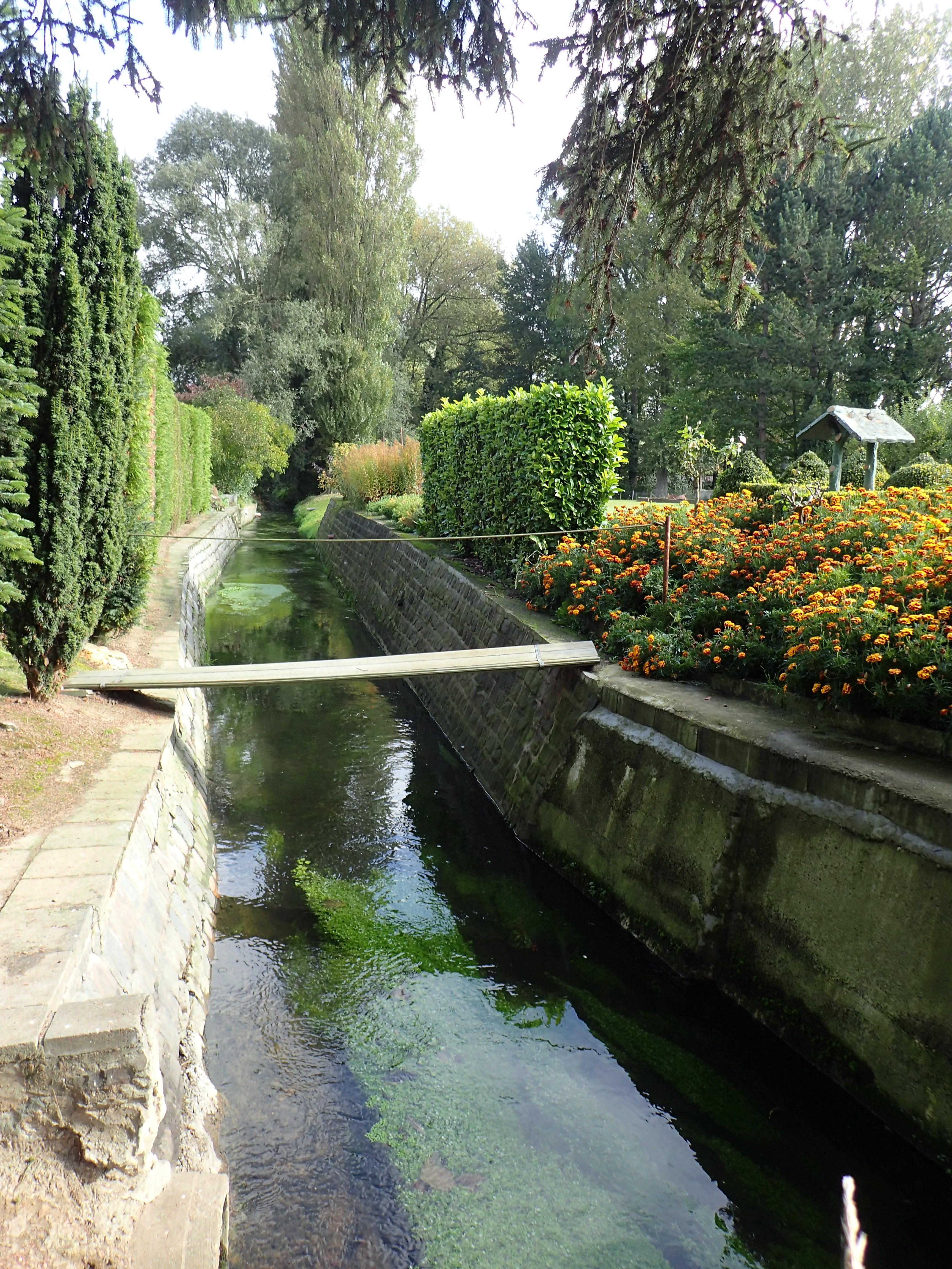 Voer tussen de achtertuinen (Bertem)