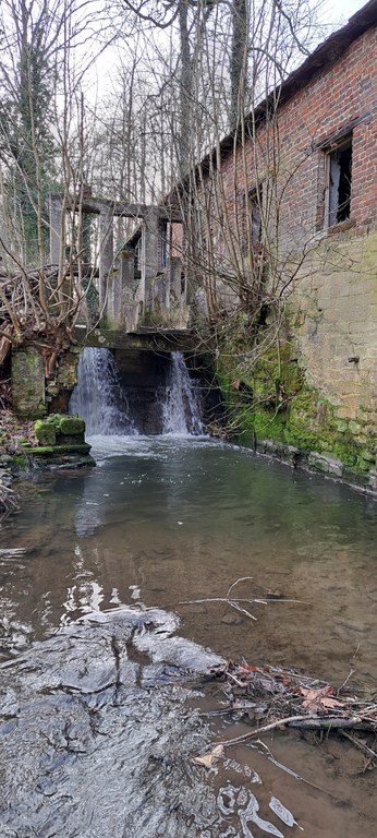 Voer - molen Leefdaal