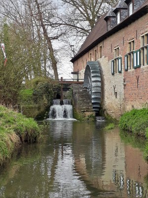 Maalbeek Liermolen (Grimbergen) Maalbeek Liermolen (Grimbergen)