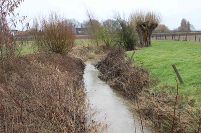 13 maart 2018 - terreinbezoek Vleterbeek