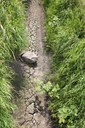 Blankaart - droogte gracht