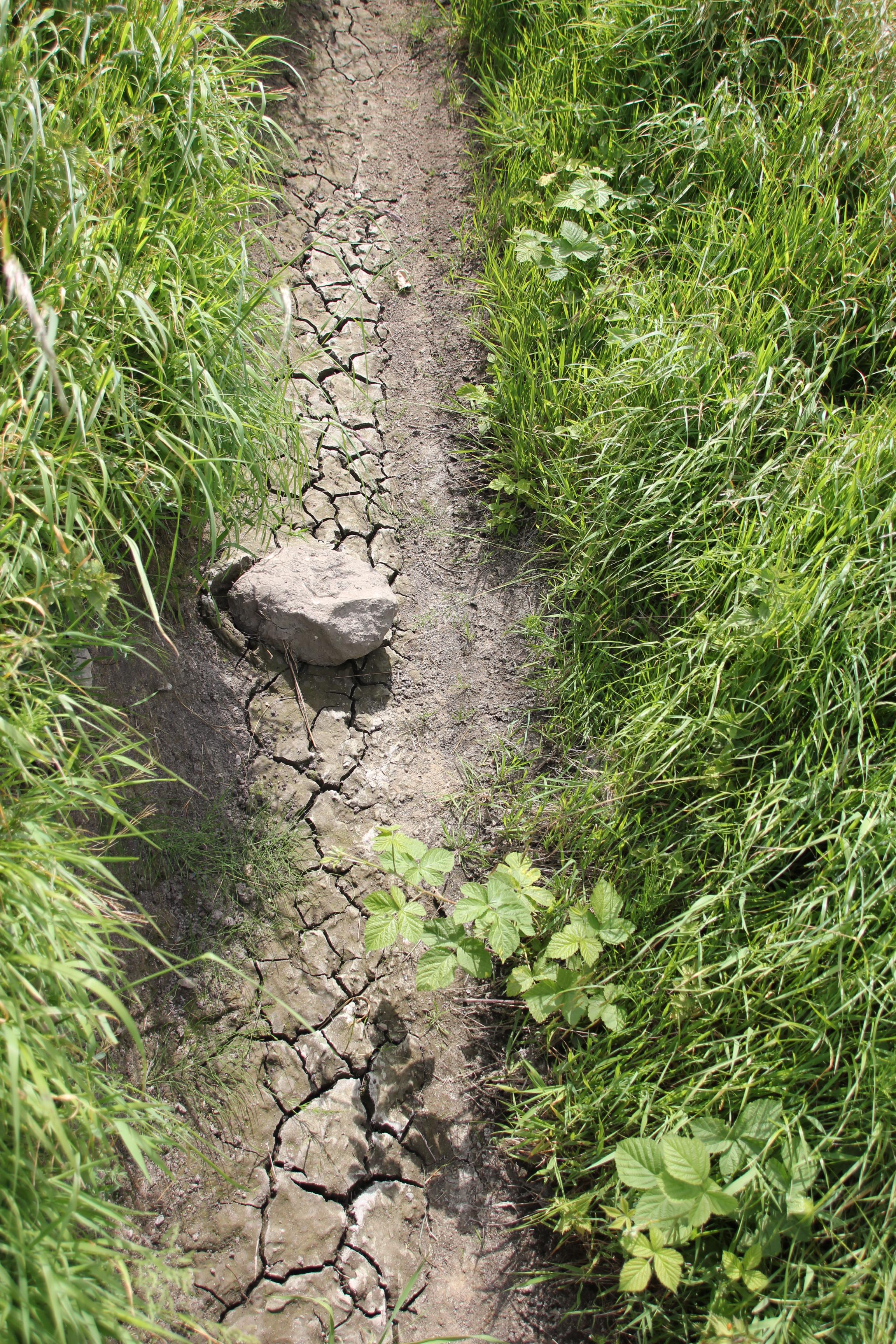 Blankaart - droogte gracht