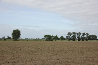 Ronebeek - vallei houtkant