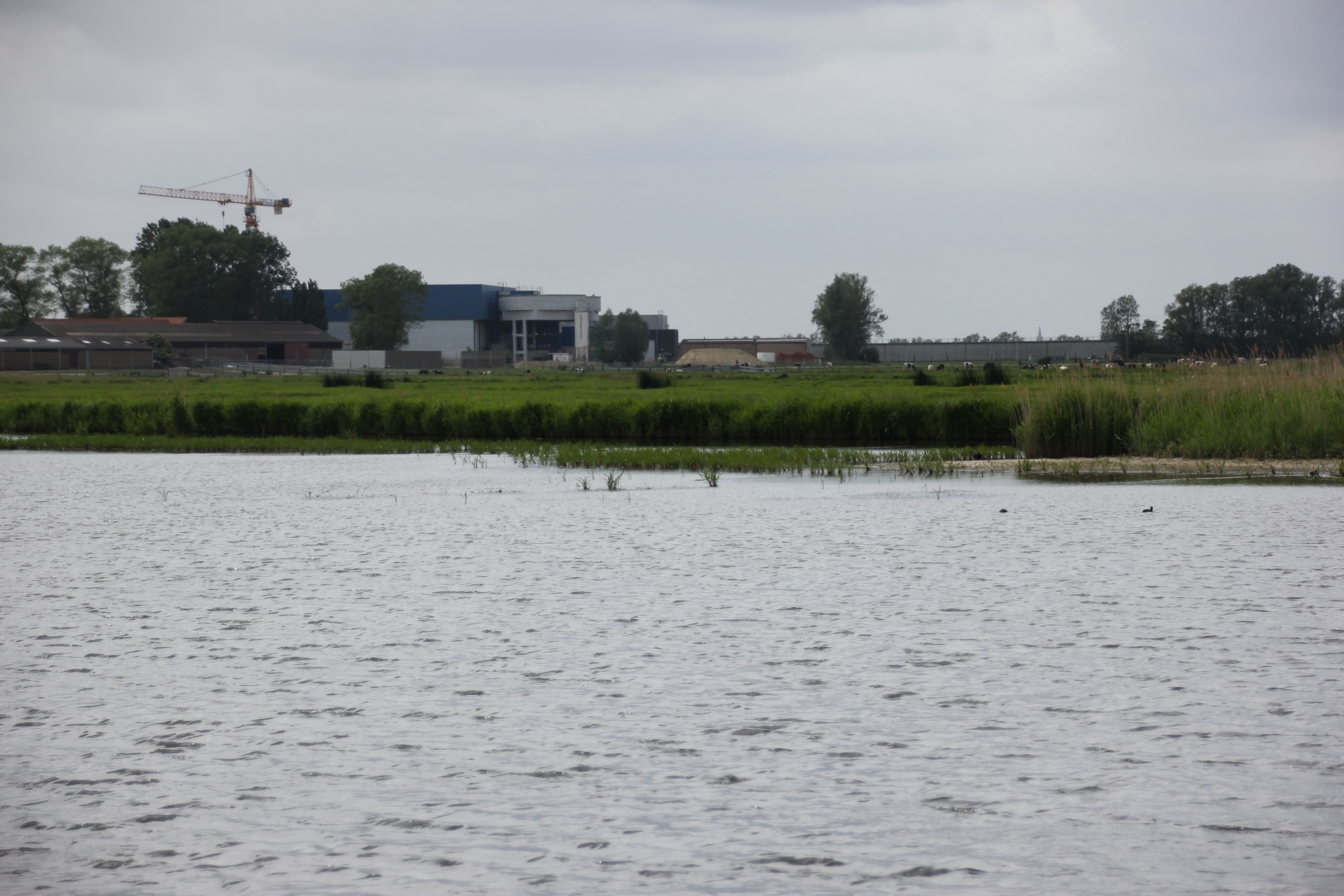 Blankaart - WPC-vijver