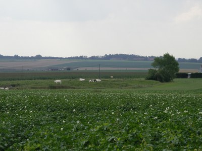 Ijzerbekken West-Vlaamse Heuvels IJzerbekken West-Vlaamse Heuvels