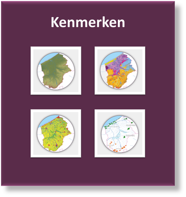 Kenmerken IJzerbekken Kenmerken IJzerbekken