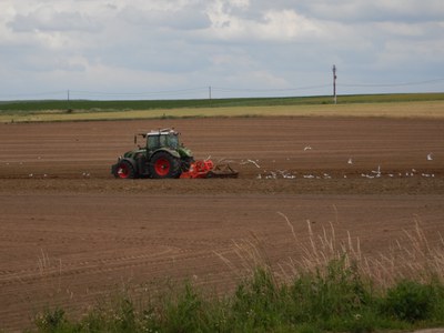 IJzerbekken - Kleine Kemmelbeek (landbouw)