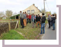 knop overlegstructuren knop overlegstructuren